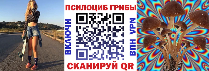Купить закладки  Артёмовск  Псилоцибиновые грибы GOLDEN TEACHER 